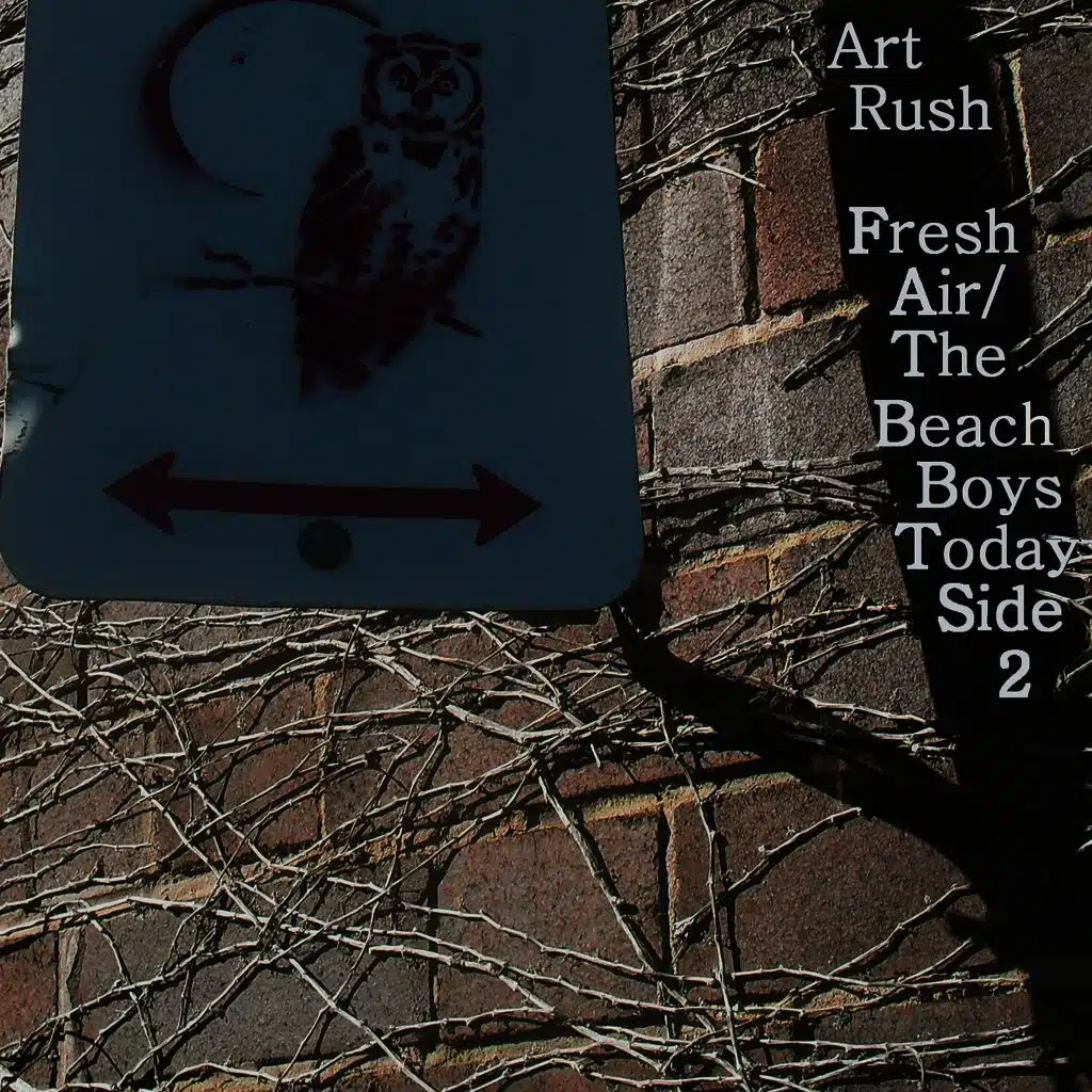 Fresh Air / The Beach Boys Today Side 2