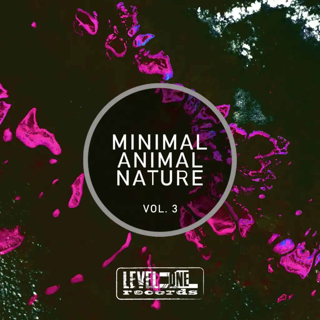 Minimal Insane (Joe Maleda Remix)