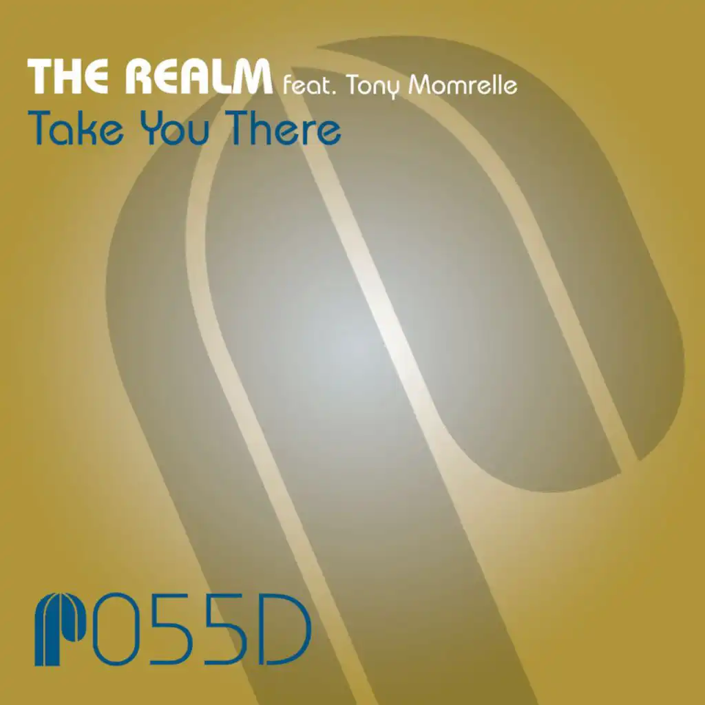 Take You There (The Realm Instrumental Mix) [feat. Tony Momrelle]