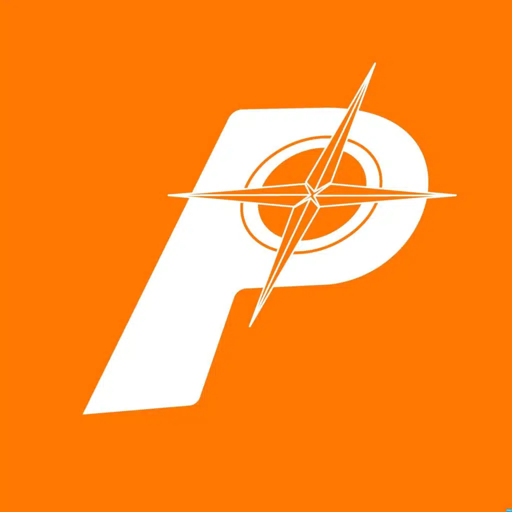 THE PROFESSOR TRAVEL