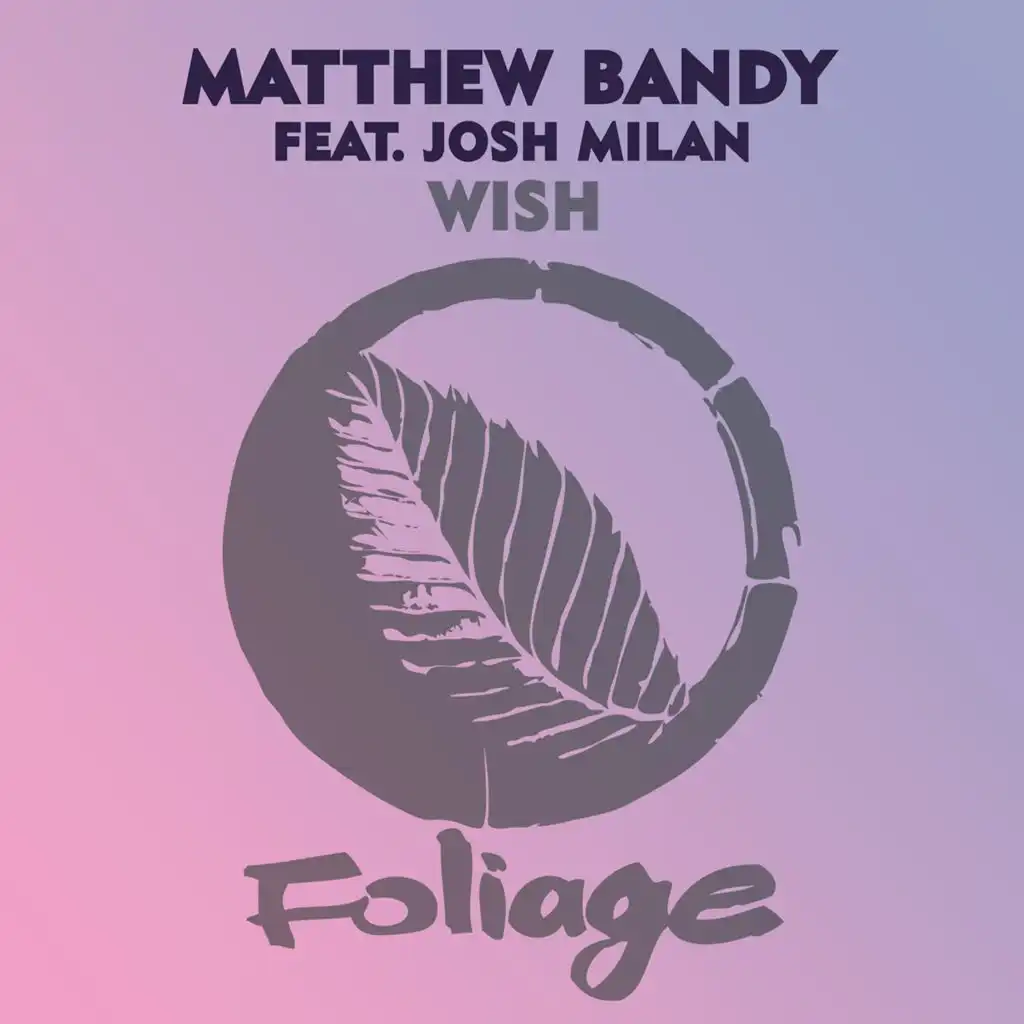 Wish (feat. Josh Milan)
