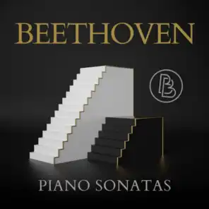 Piano Sonata No. 6 in F Major, Op. 10 No. 2: II. Allegretto