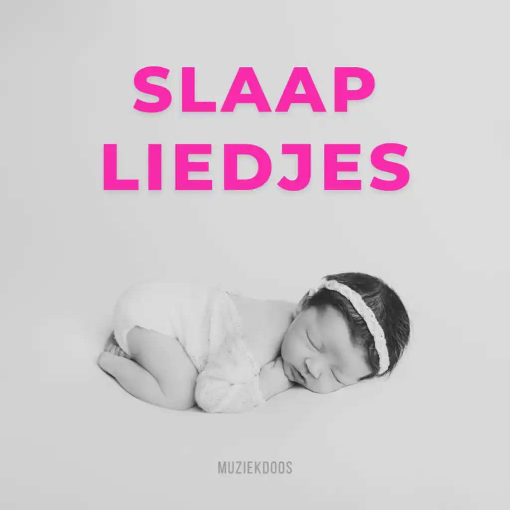 Slaapliedjes - Muziekdoos