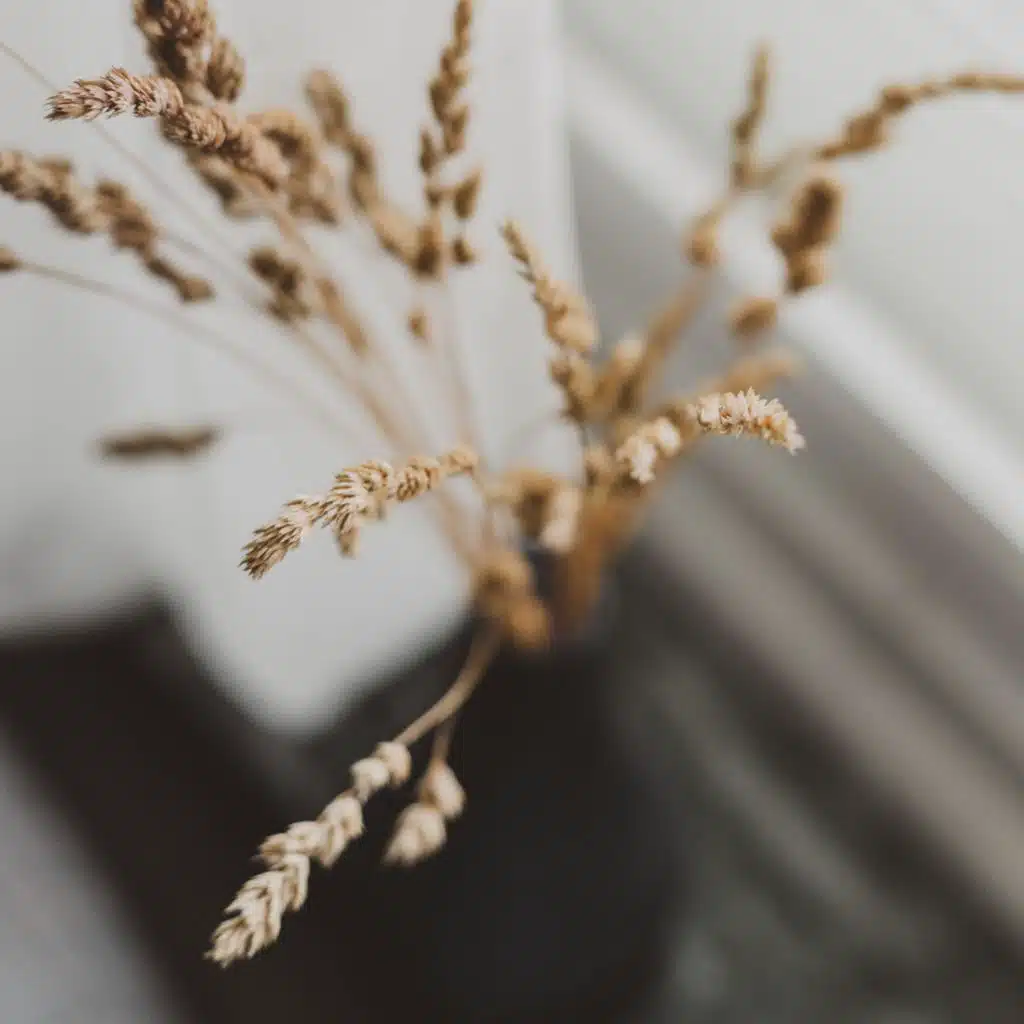 Enveloping Nature Music Collection