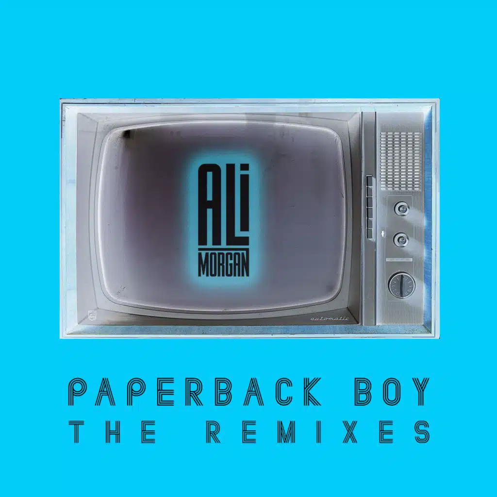 Paperback Boy (The Remixes)