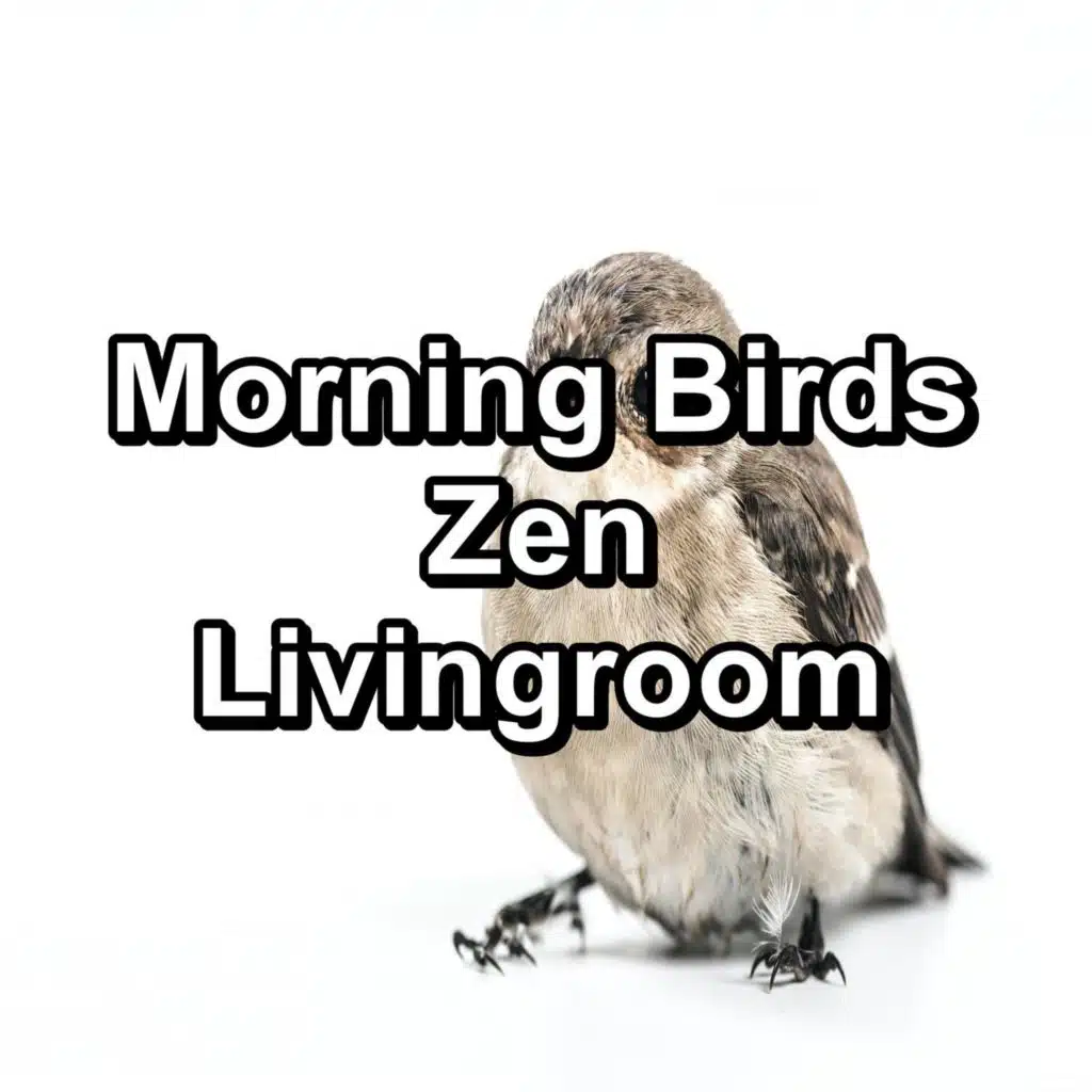 Beautiful Bird Sounds For Meditation Loopable