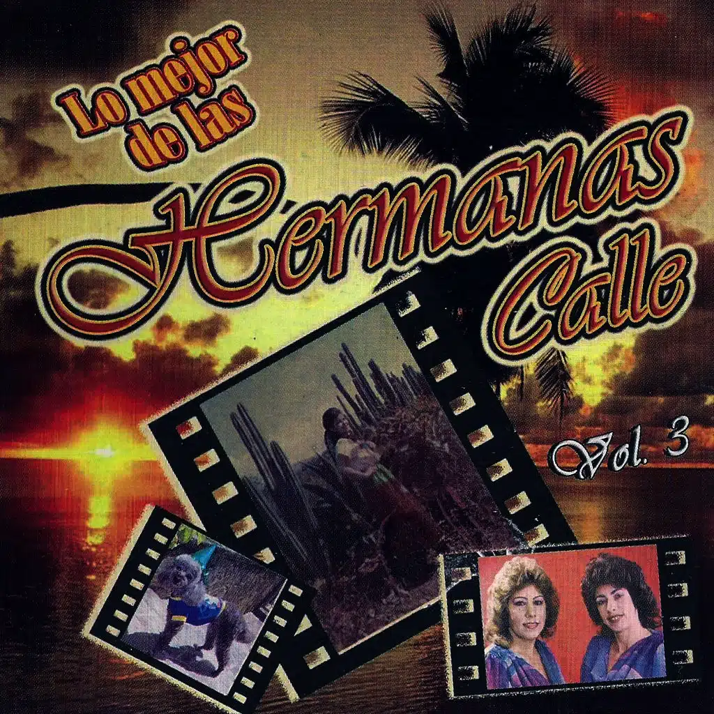 Lo Mejor de las Hermanas Calle, Vol. 3