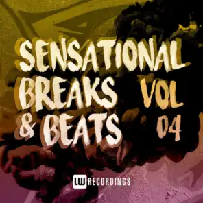 Sensational Breaks & Beats, Vol. 04