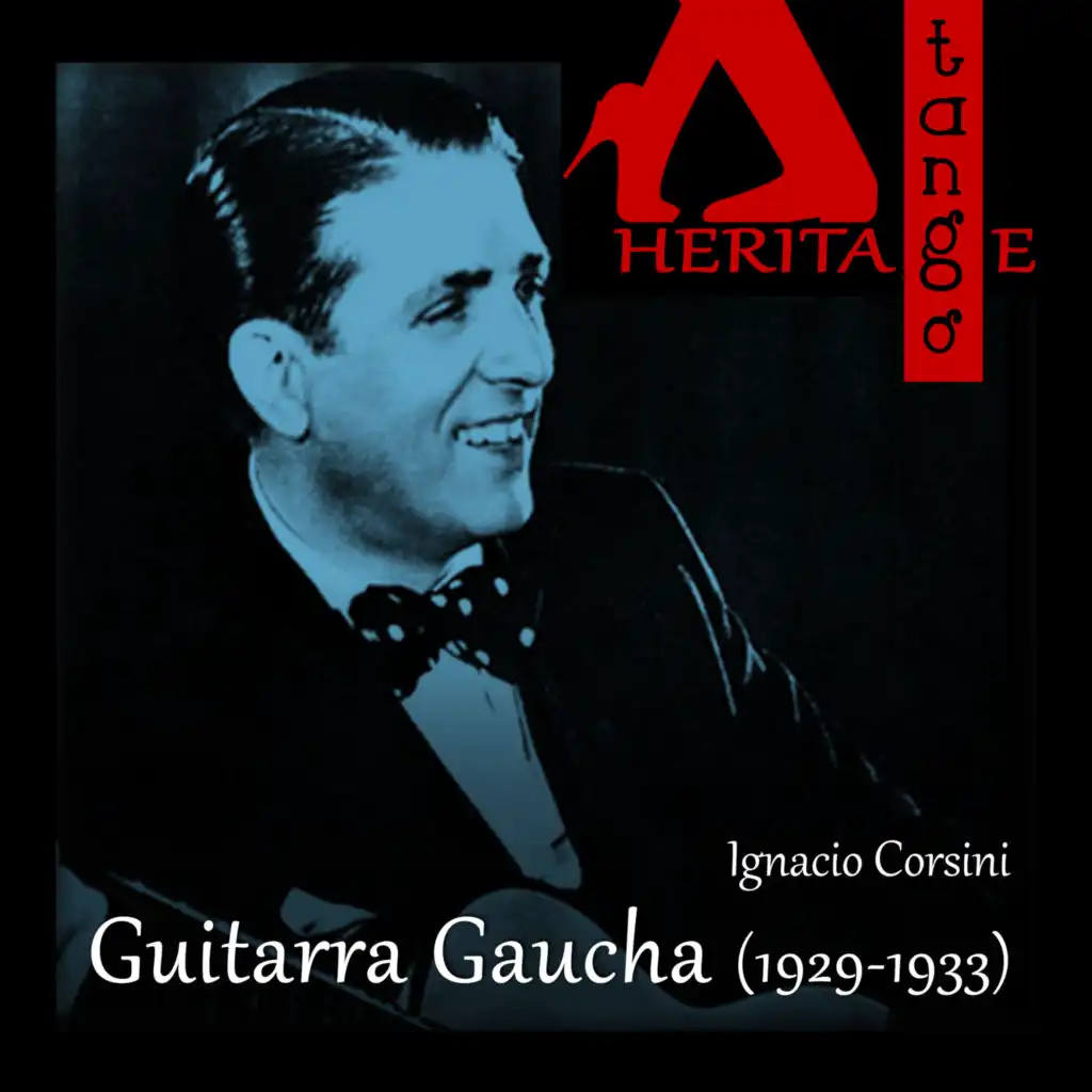 Guitarra Gaucha