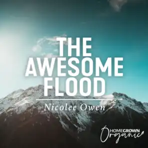 The Awesome Flood
