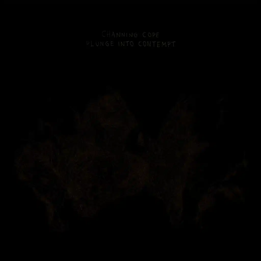 Plunge Into Contempt