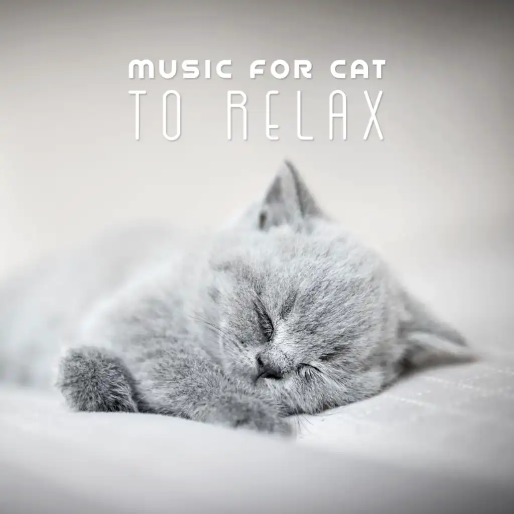 Instrumental Music For Your Cat