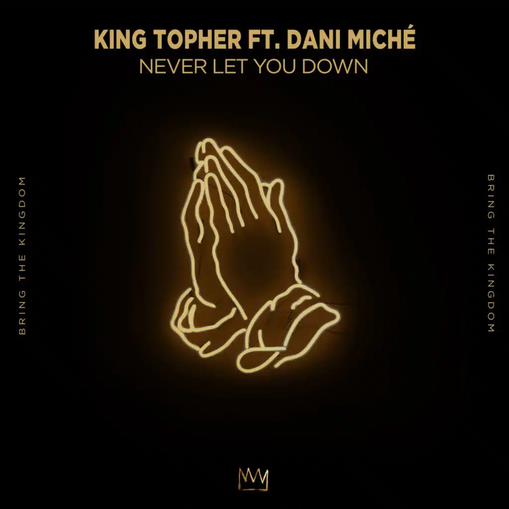 Never Let You Down (TRM Remix) [feat. Dani Miché]