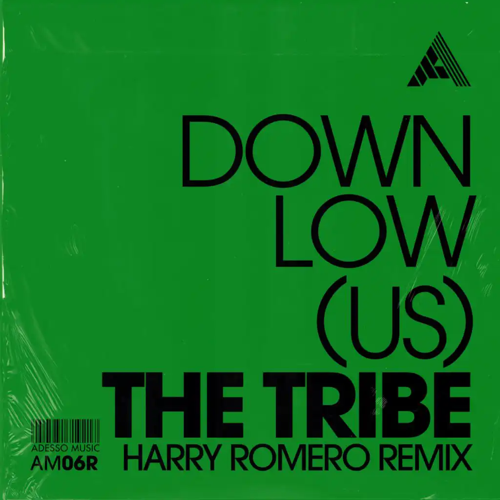 The Tribe (Harry Romero Remix) (Extended Mix)