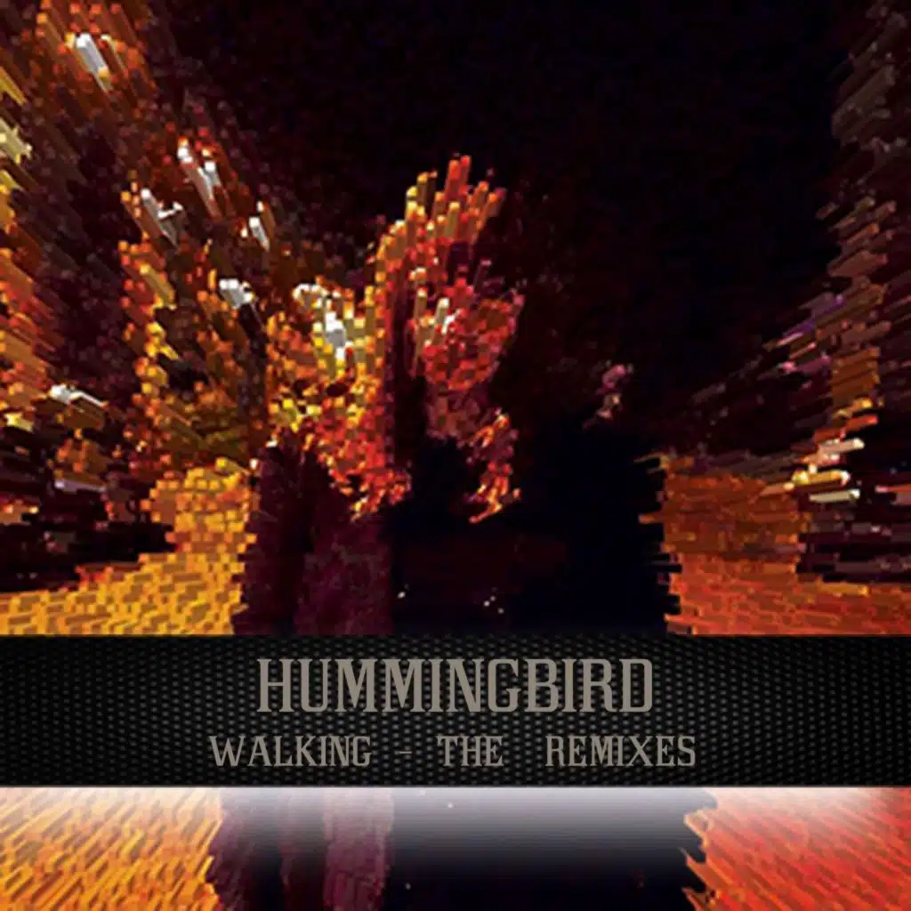 Walking (Lenz & Pulque Charité Remix)