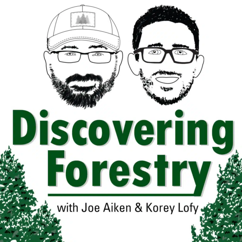 DISCOVERING FORESTRY