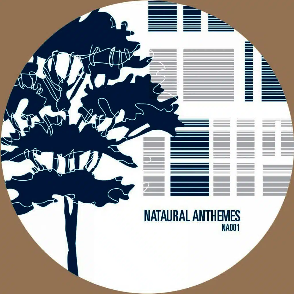 Antheme 01: Attention II Detail Disorder