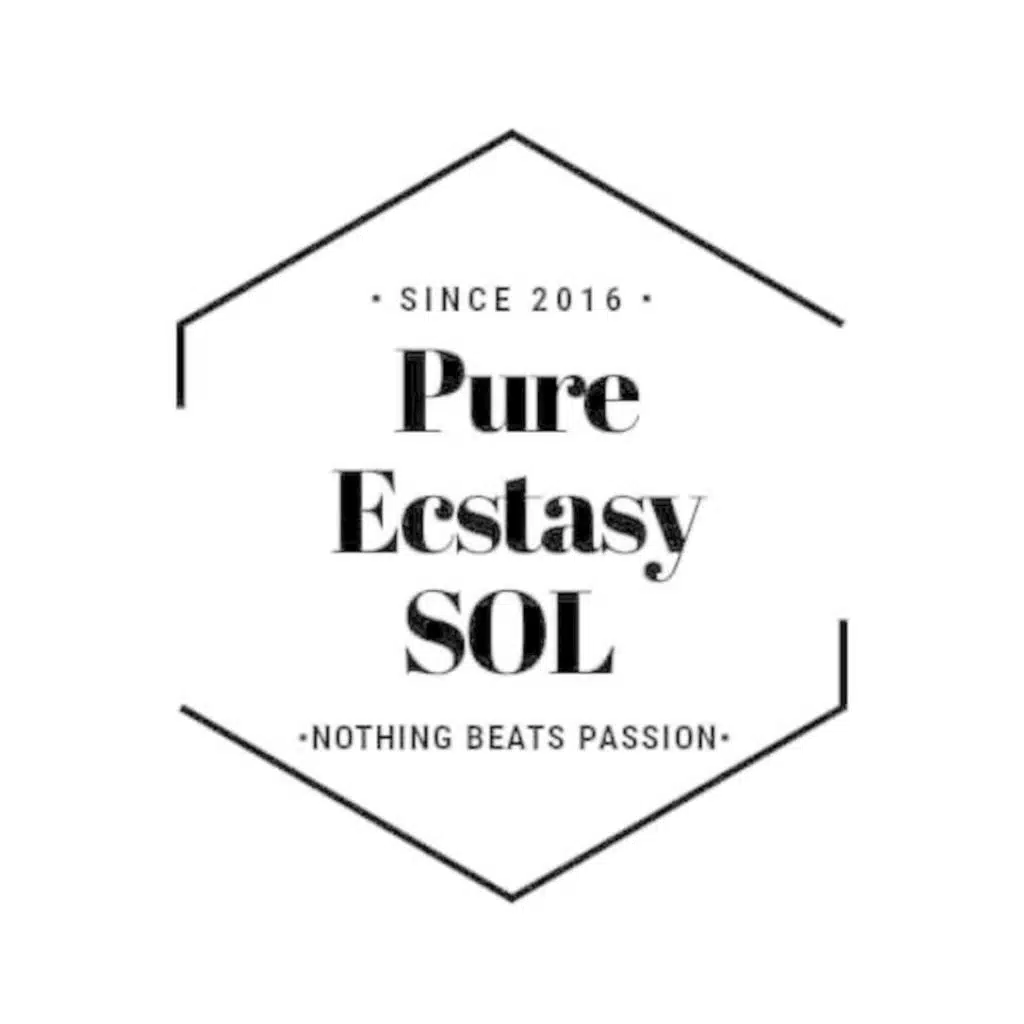 Bandros-Pure Ecstacy SOL'2 Hour Deep House Mix'#78