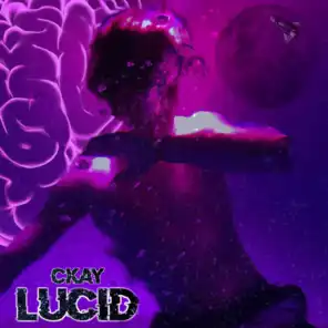 Lucid (feat. Lily)