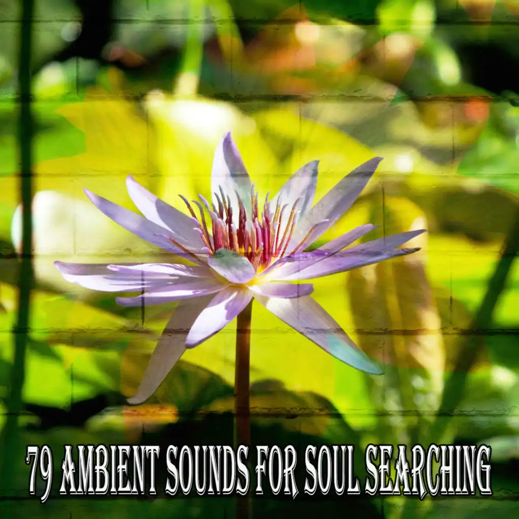 79 Ambient Sounds for Soul Searching