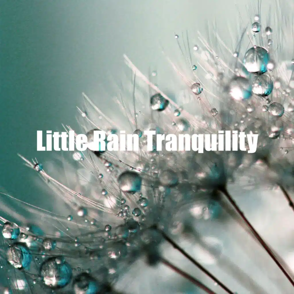 Little Rain Tranquility