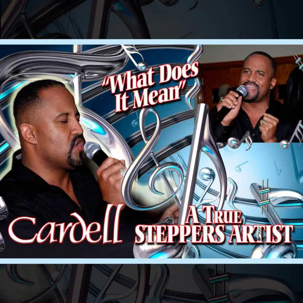 What Does It Mean - Single