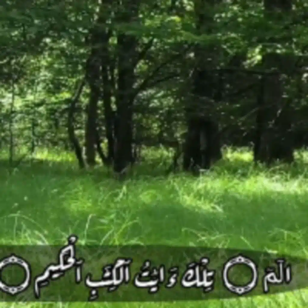 سورة لقمان كاملة اللهم تقبل