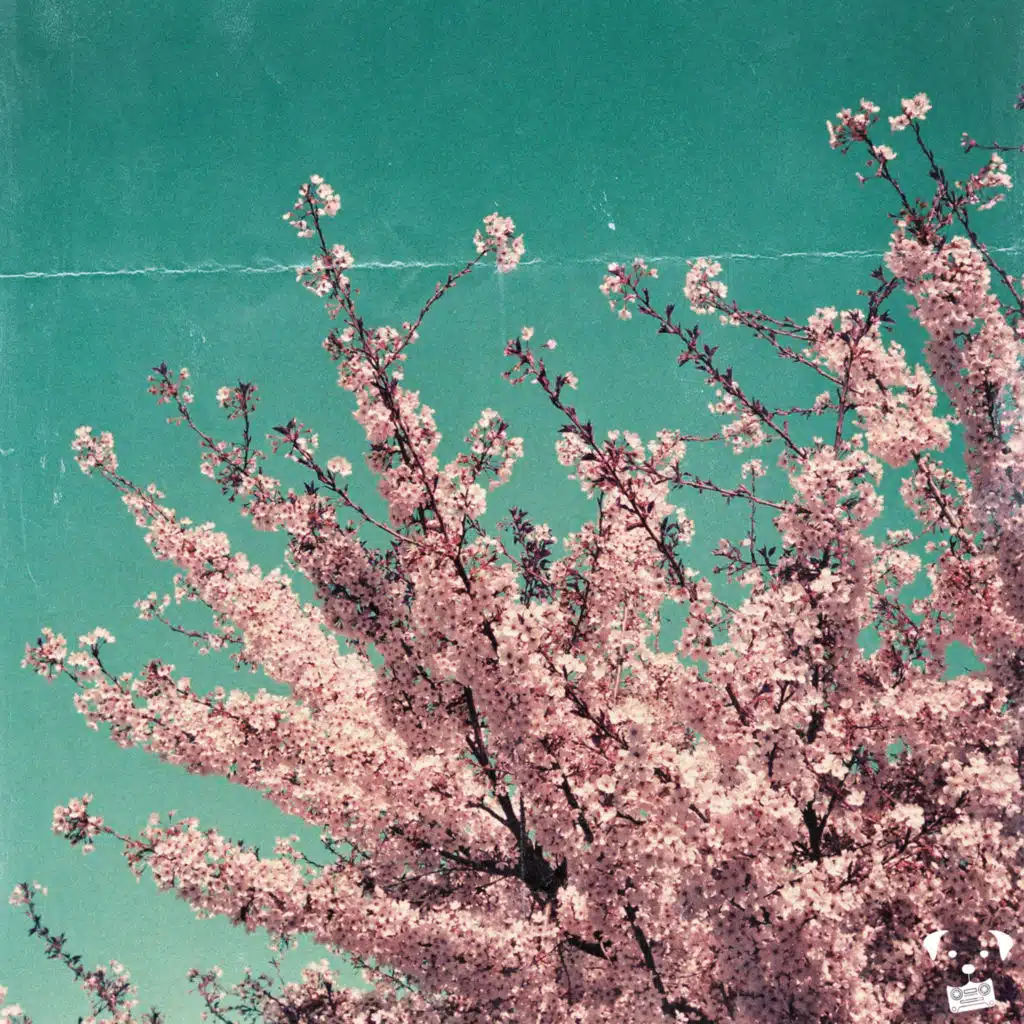 Pete Mac & Dog Tapes