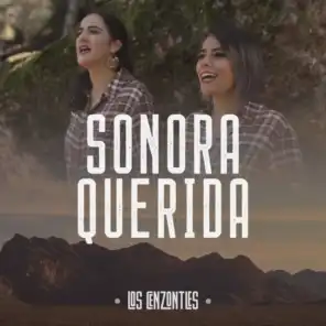 Sonora Querida (feat. David Hidalgo)
