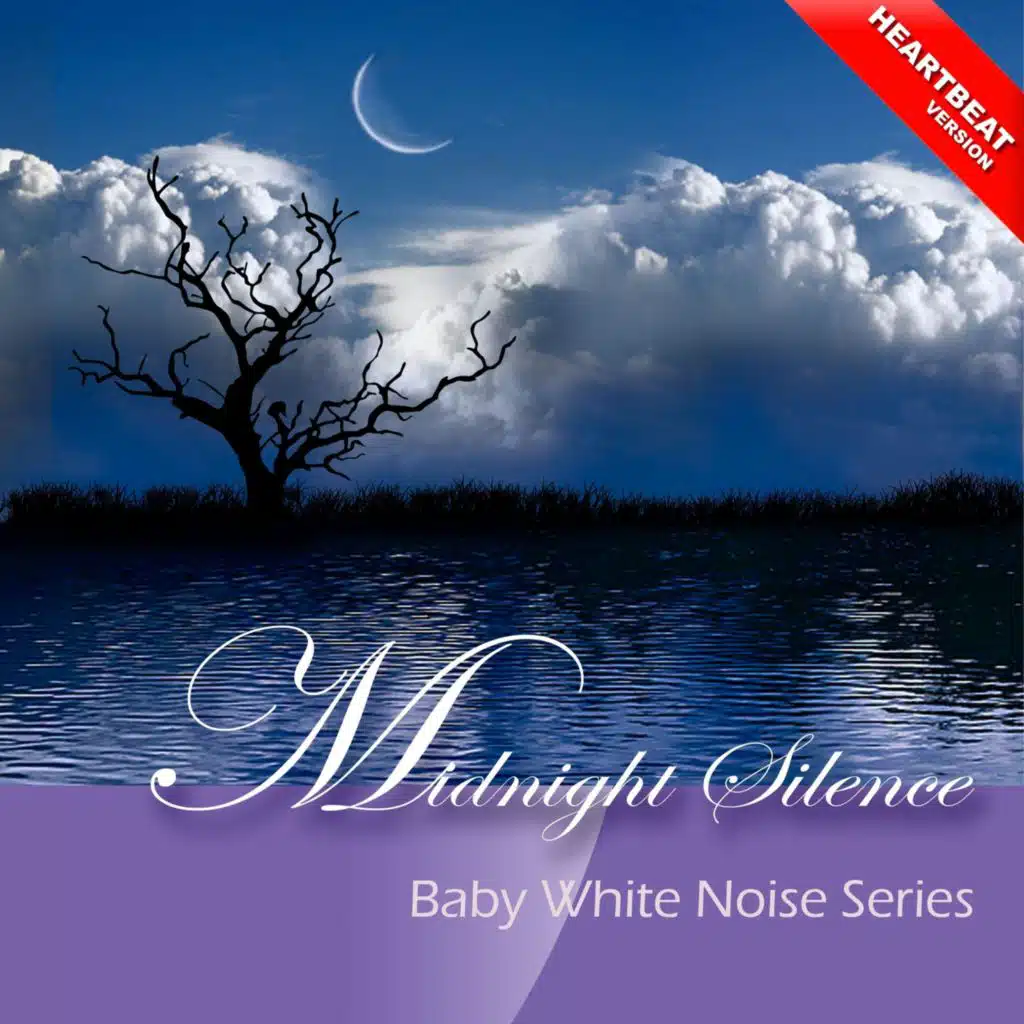 Midnight Silence (Heartbeat Version)