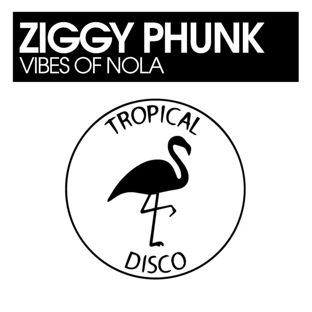Ziggy Phunk