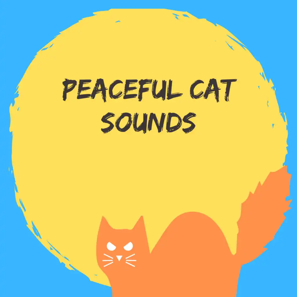 Peaceful Cat Sounds