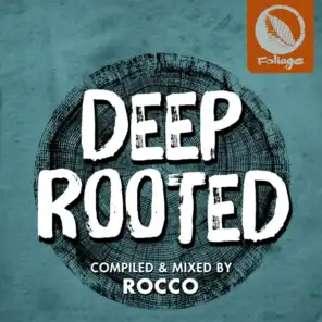 Earth Is The Place (Rocco Rodamaal Deep Mix) [feat. Verna Francis & Rocco Rodamaal ]