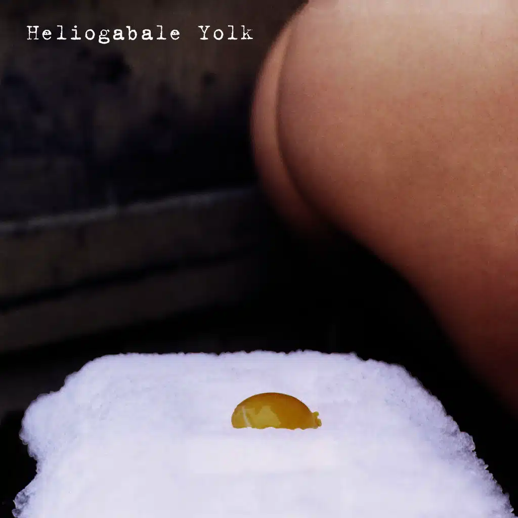 Yolk
