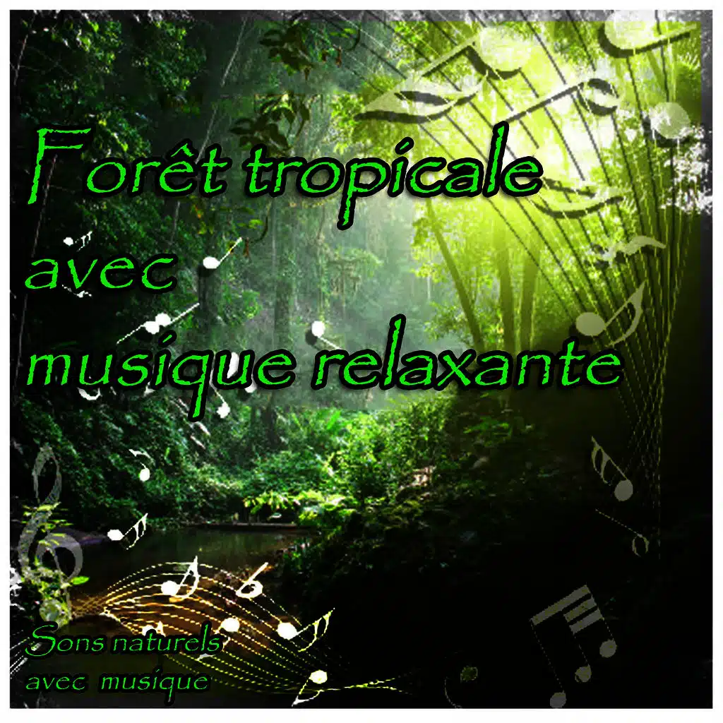 Forêt tropicale avec musique relaxante (ft. Jamie Llewellyn )