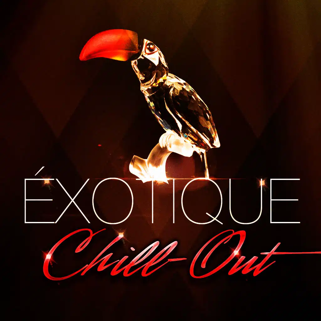 Chill-out exotique (50 chansons qui fusionnent chill-out et musiques du monde)