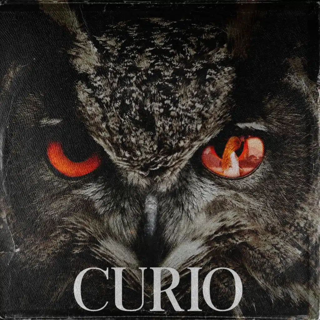 Curio