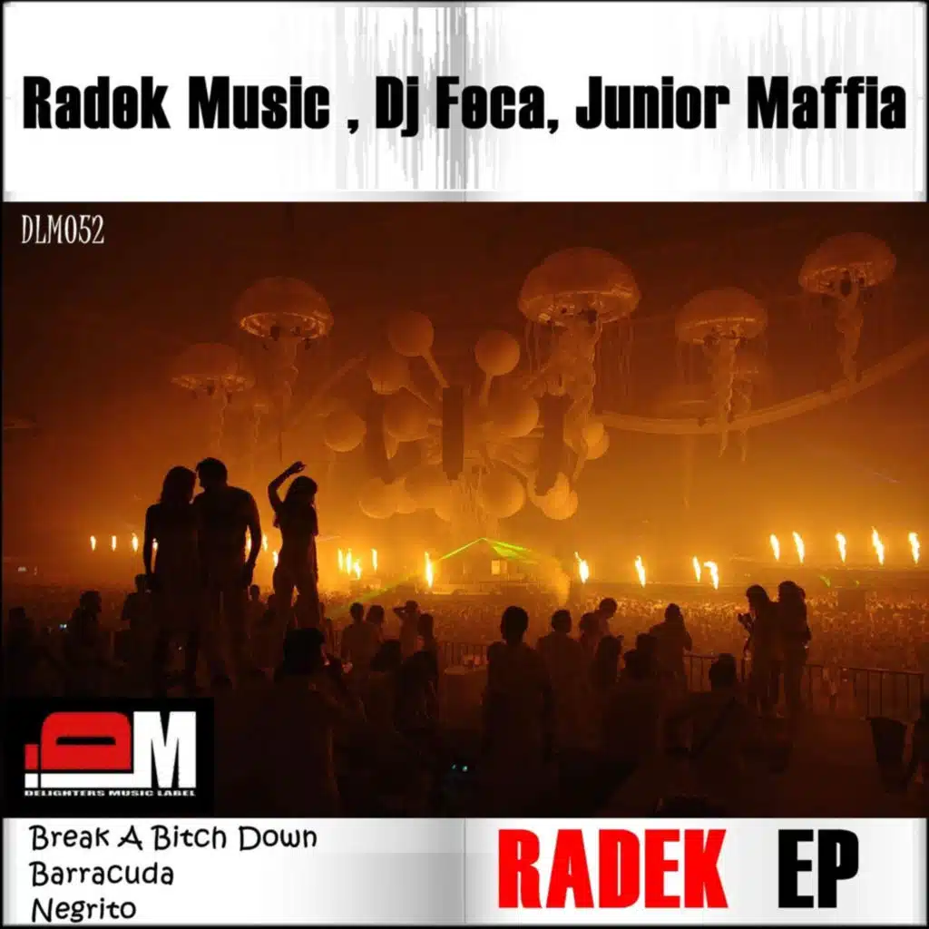 RADEK EP