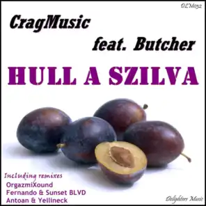 Hull A Szilva (feat. Butcher) (Fernando & Sunset BLVD Remix)