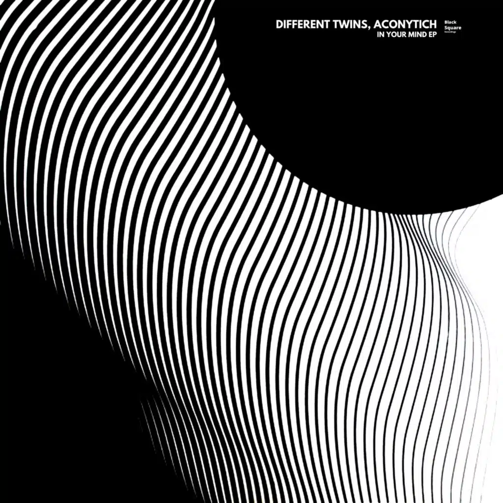 Different Twins & Aconytich