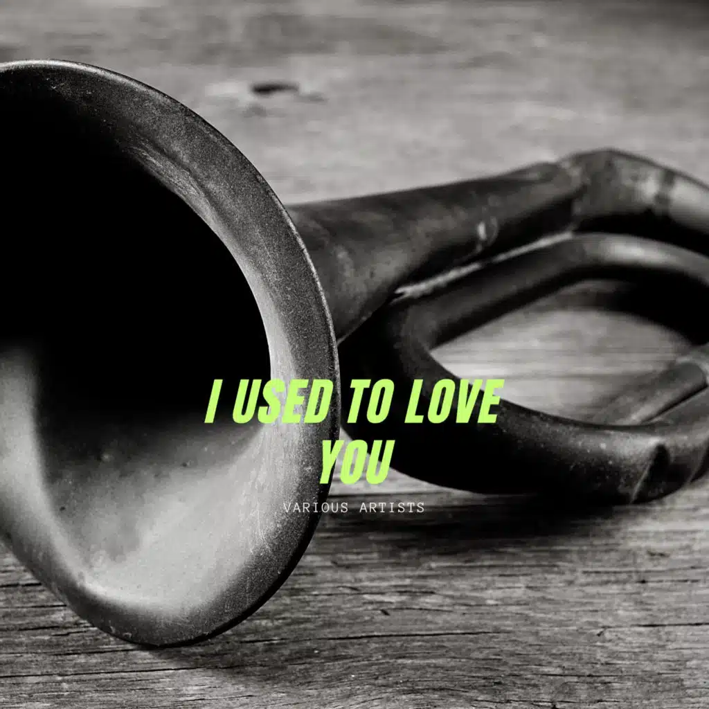 I Used To Love You