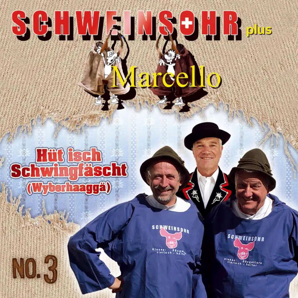 NO. 3 - Hüt isch Schwingfäscht (Wyberhaaggä)
