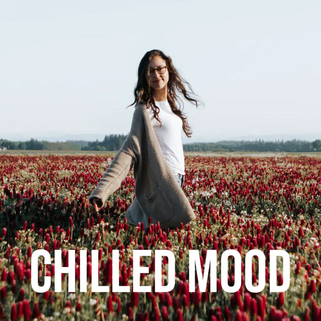 Chilled Mood – Paradise Full of Chill Out Music 2021