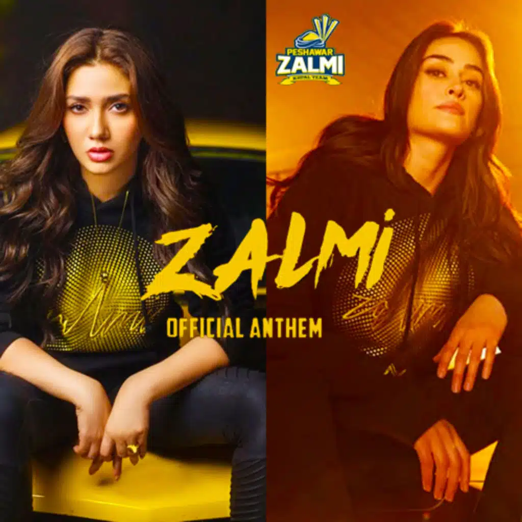 Zalmi Kingdom (feat. Altamash)