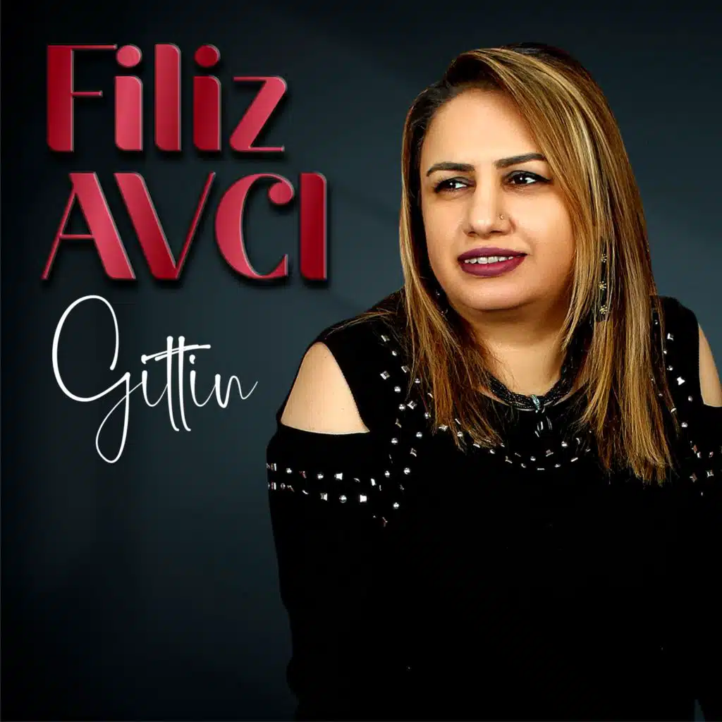 Gittin (feat. Amir Yıldırım & Ahmet Satılmış)