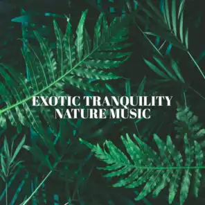 Exotic Tranquility (Relaxing Exotic Nature Music to Overcome Anxiety and Fall Asleep Quickly)