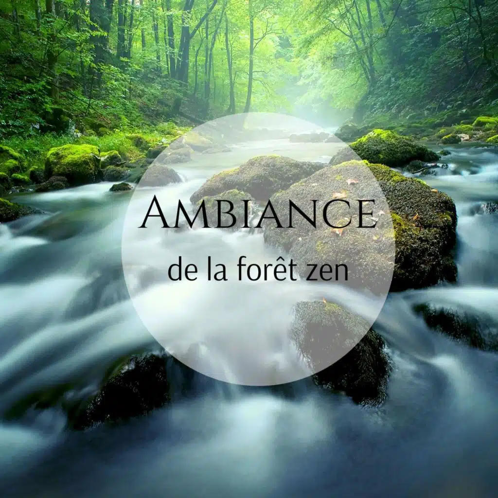 Ambiance de la forêt zen: Musique relaxante avec des sons de la nature, L'eau, Oiseaux chanteurs, Vent (feat. Relaxing Nature Sounds Collection)