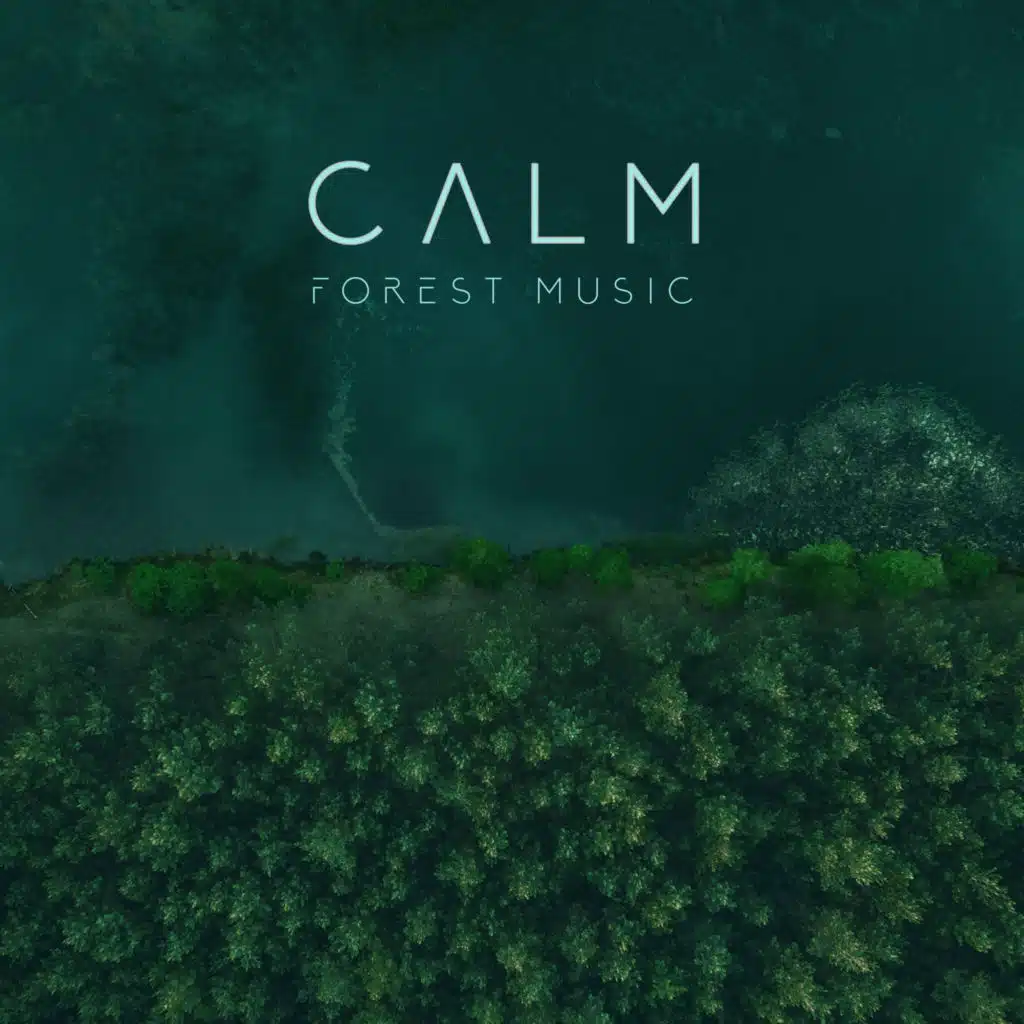 Calm Forest Music: Regenerating Green Experience, Forest Bathing, Shinrin-Yoku, Woodland Sounds for Your Inner Harmony