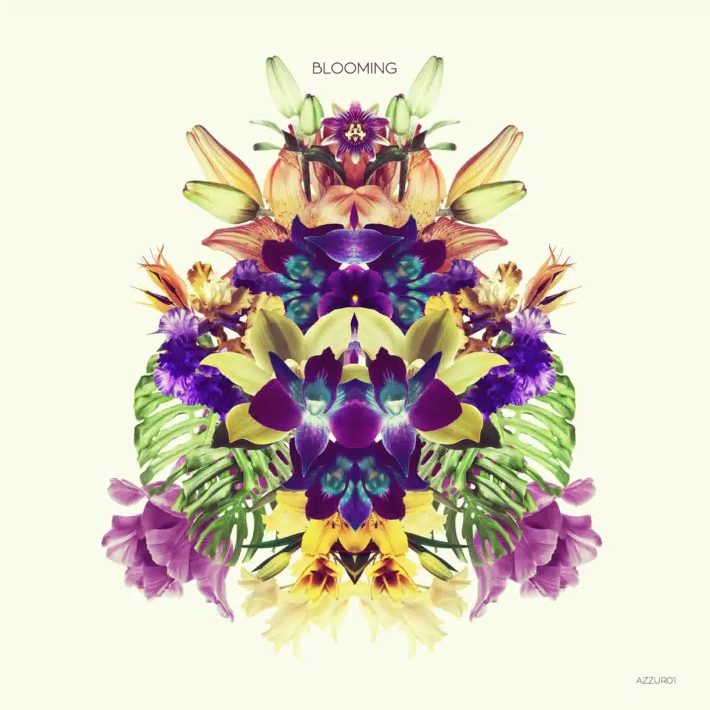 Blooming
