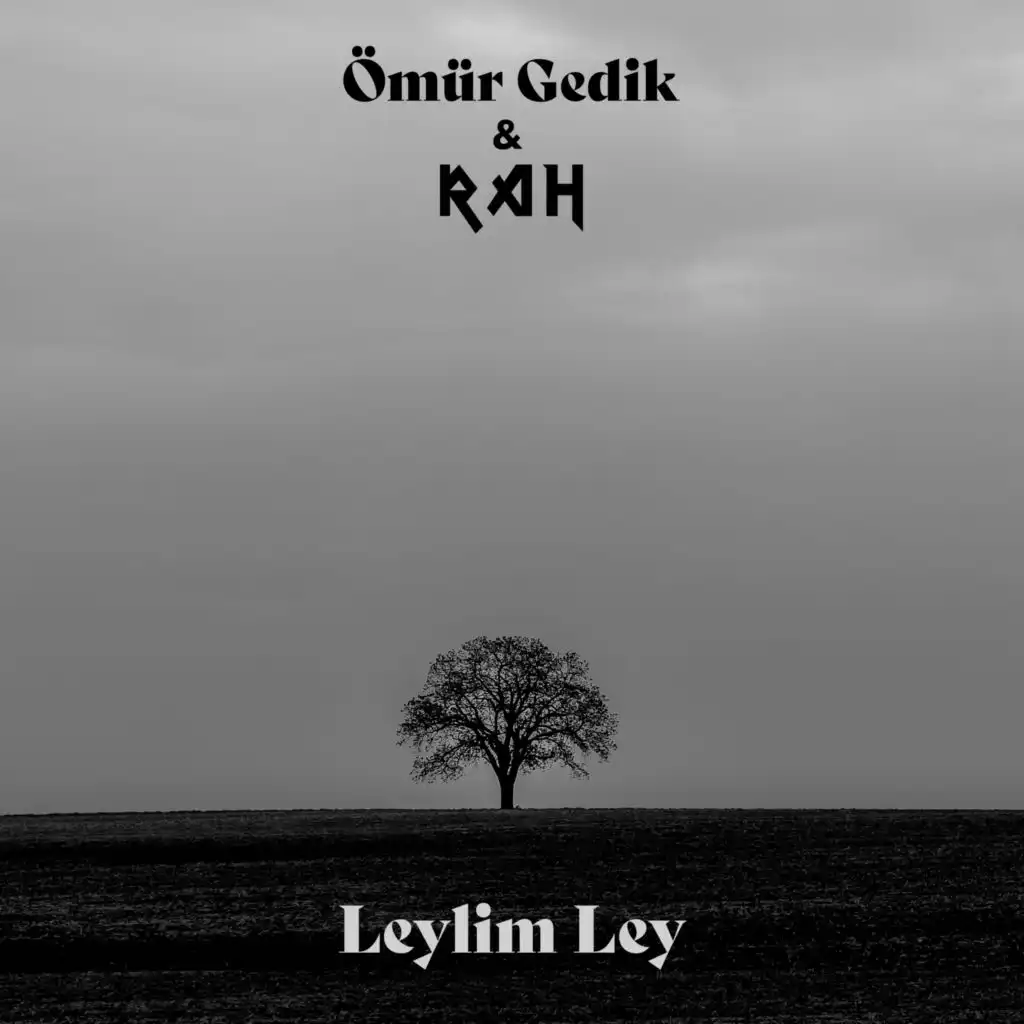 Leylim Ley